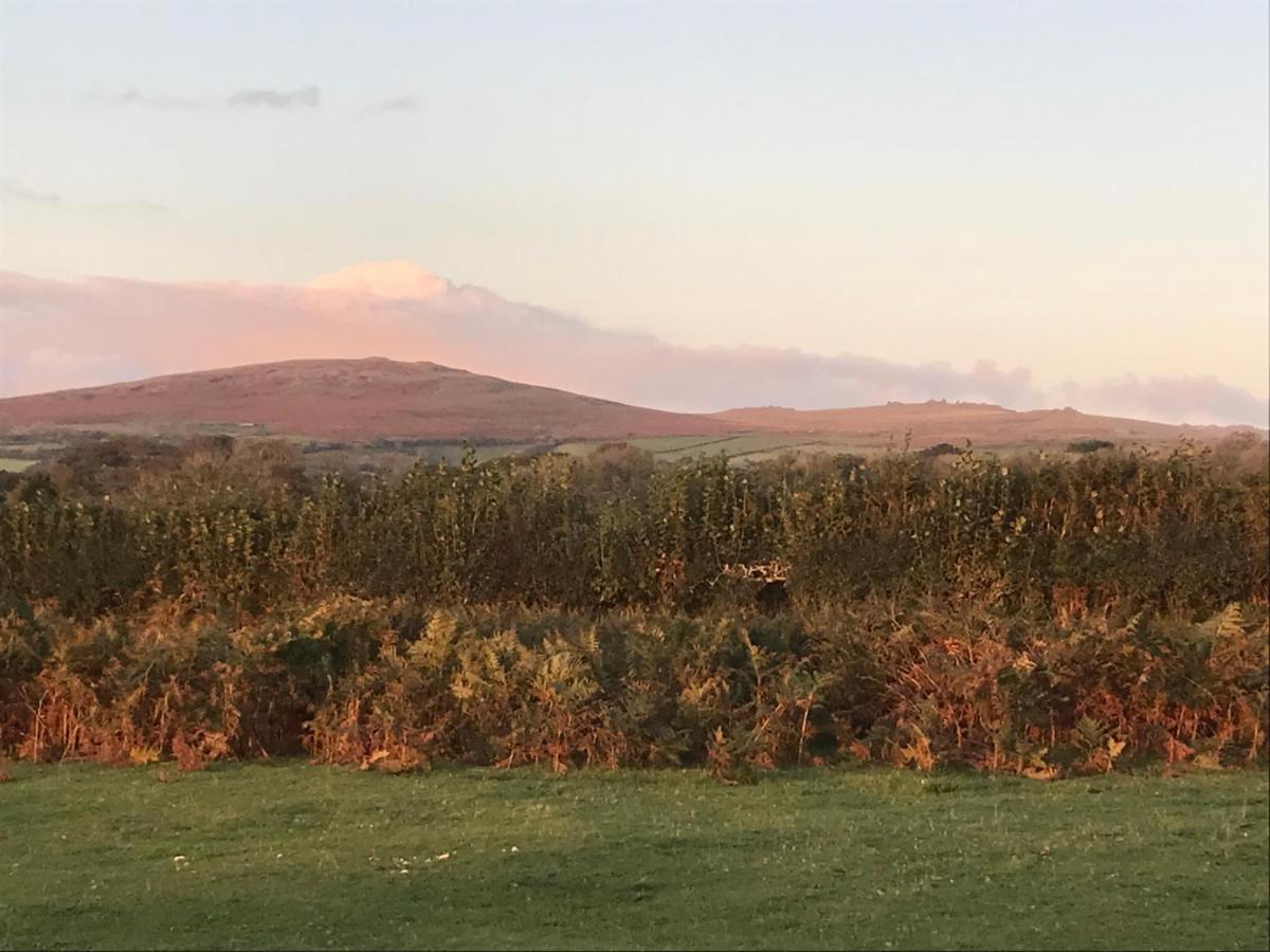 Oak Lodge تافيستوك المظهر الخارجي الصورة